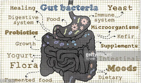 Antibiotics associated with long-term behavioural changes