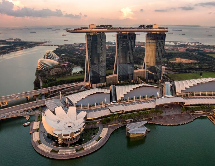 How healthcare is organised in Singapore